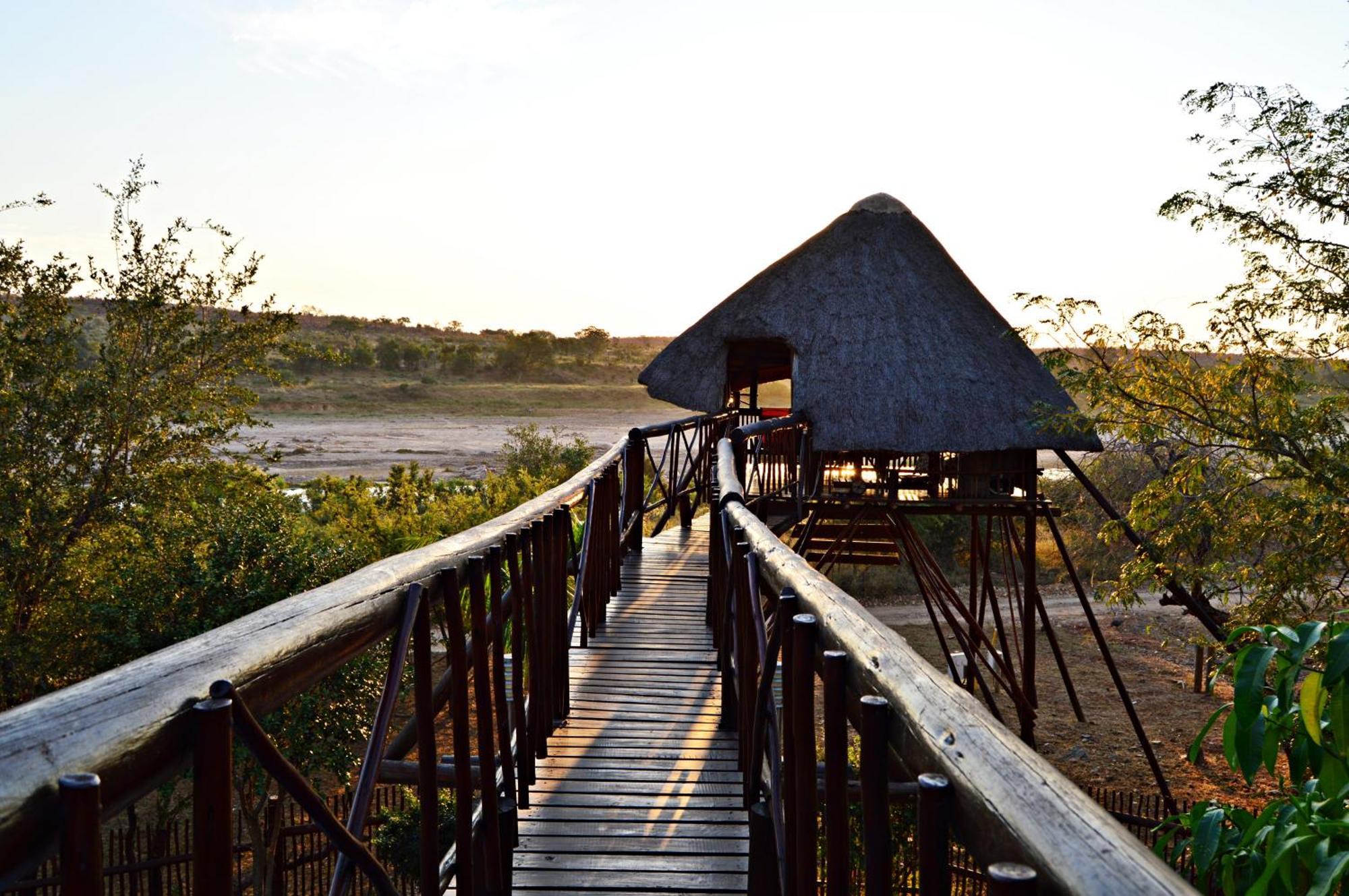 Bona Ngwenya Lodge & Safaris 玛洛斯帕克 外观 照片