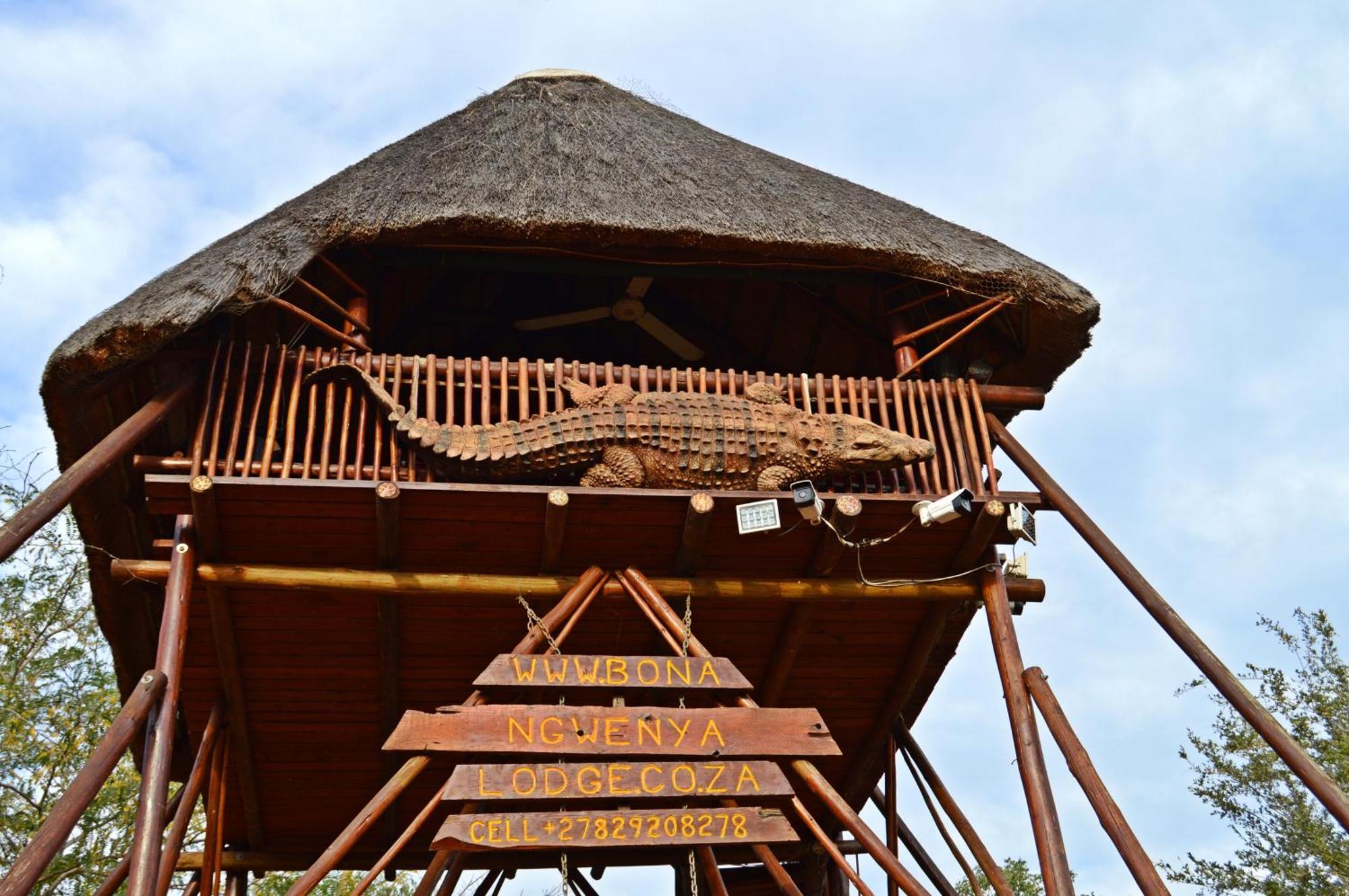 Bona Ngwenya Lodge & Safaris 玛洛斯帕克 外观 照片