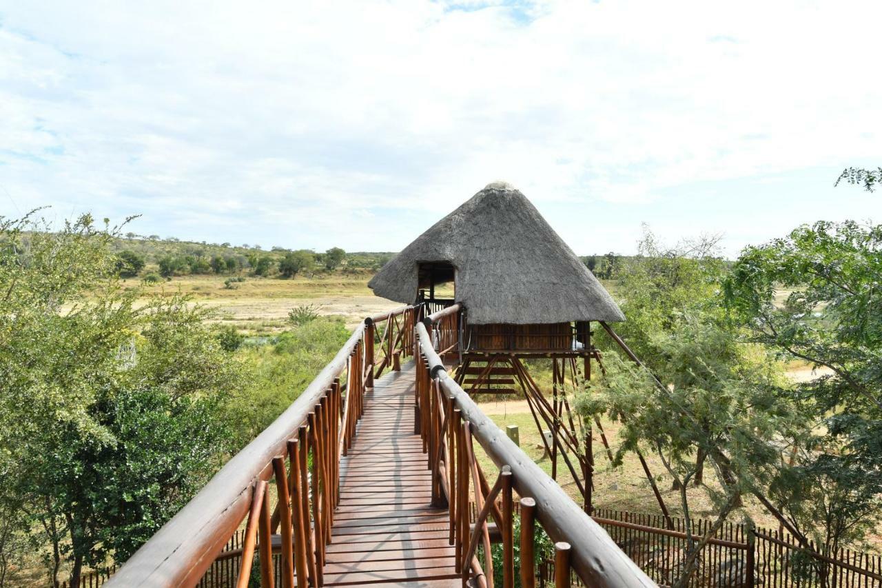Bona Ngwenya Lodge & Safaris 玛洛斯帕克 外观 照片